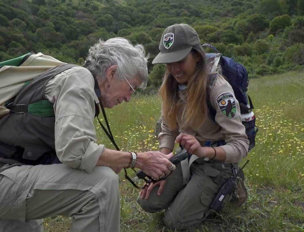 bay area bountiful crop