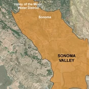 SVGSA Group