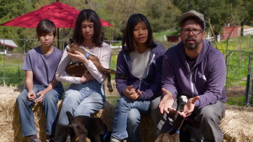 Baby Goats Short Story