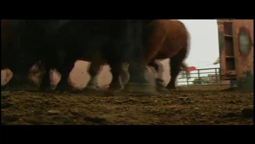 New Shepherds of the Farm