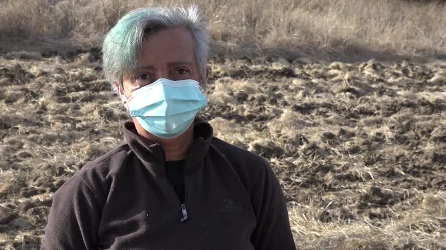 Connect The Bay: Socially Distanced Eco-Volunteering