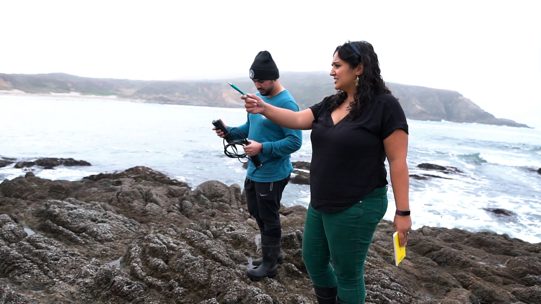 Changemaker & Trailblazer: Dr. Alyssa Griffin