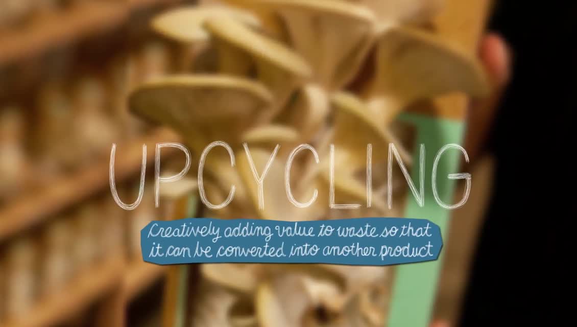 Lexicon of Sustainability - What Is Sustainability?