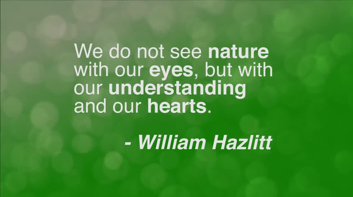 We do not see nature