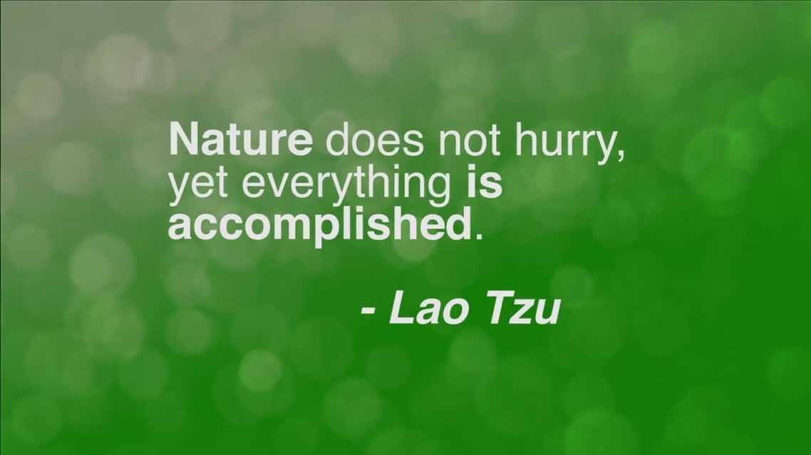 Nature does not hurry