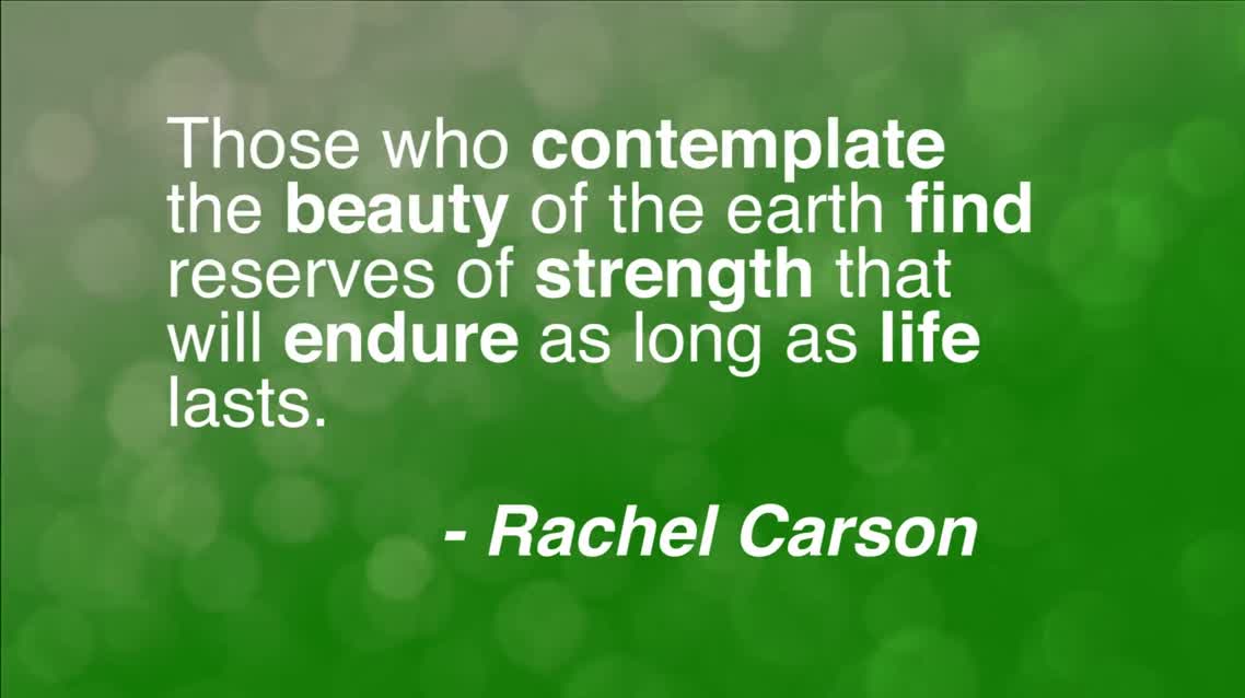 Those who contemplate